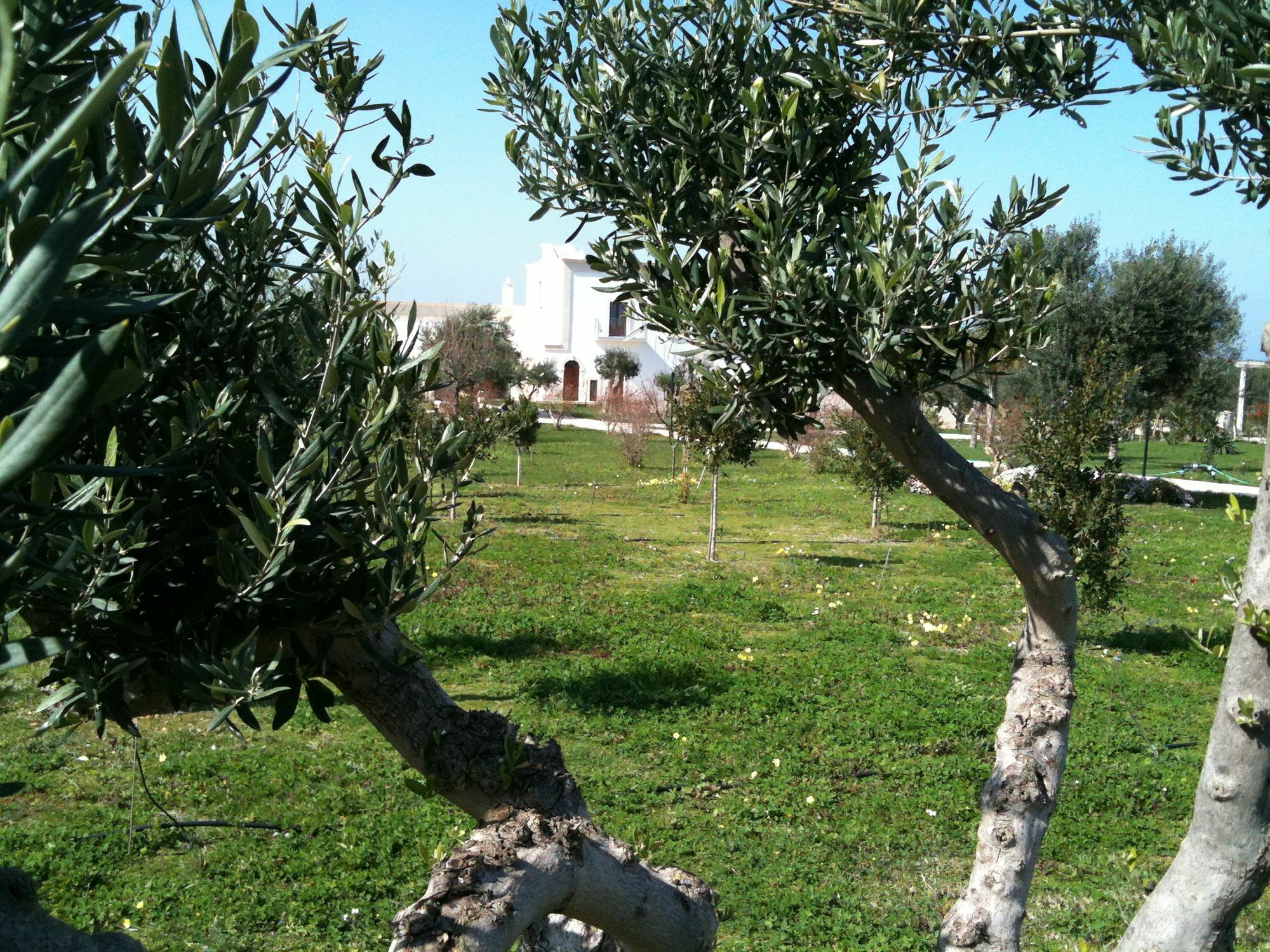Casale Del Murgese Country Resort Savelletri Kültér fotó